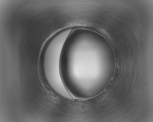 X0000068270388200604210946