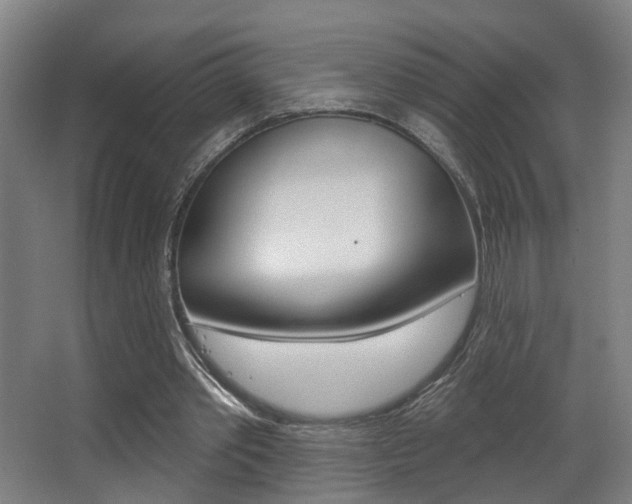 X0000068270389200604210946