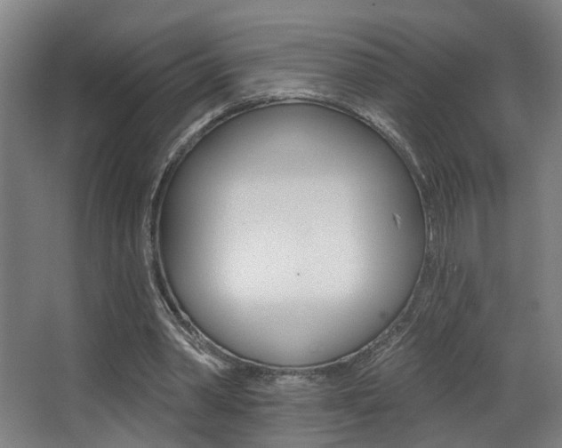 X0000068270390200604210946