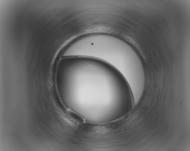 X0000068270392200604210946