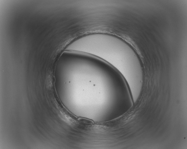 X0000068270393200604210946