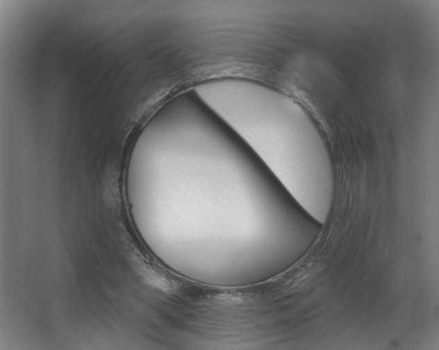 X0000068270394200604210946