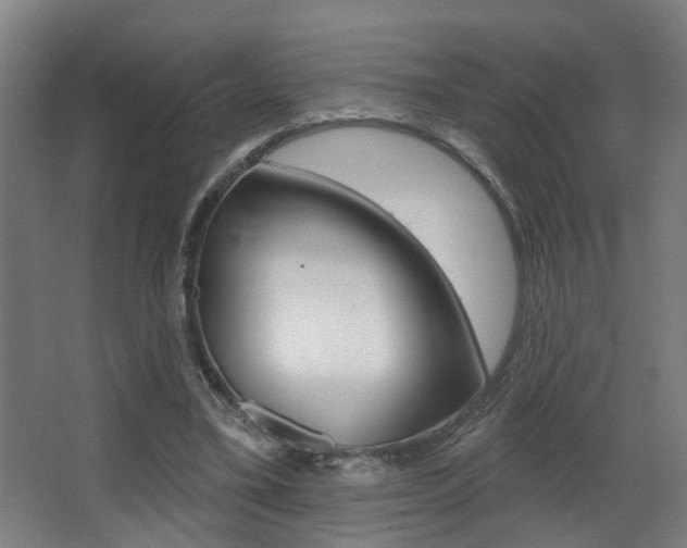 X0000068270395200604210946