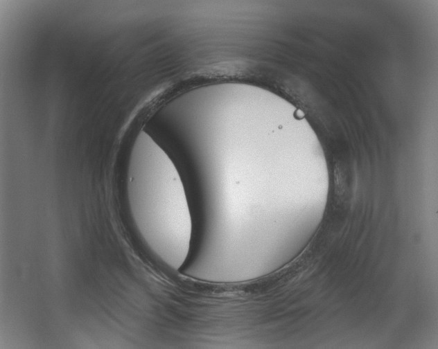 X0000068270396200604210946