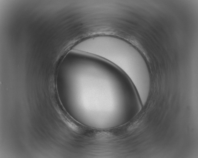 X0000068270397200604210946