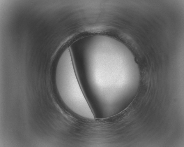 X0000068270400200604210945