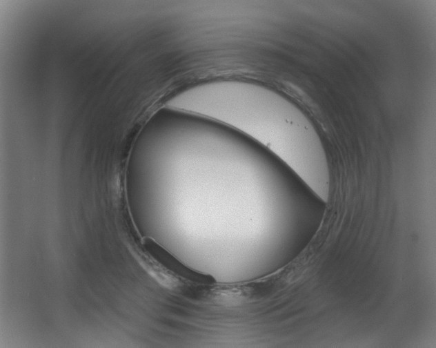 X0000068270405200604210945