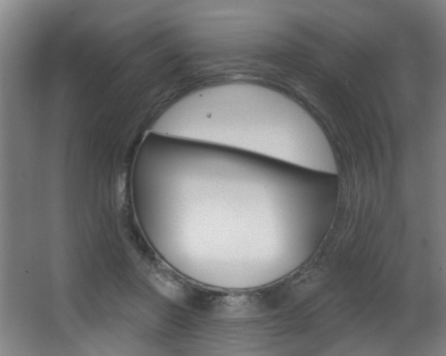 X0000068270406200604210945