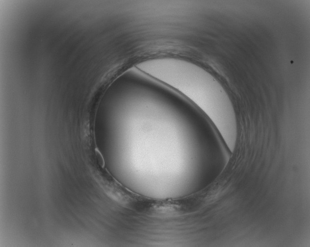 X0000068270407200604210945