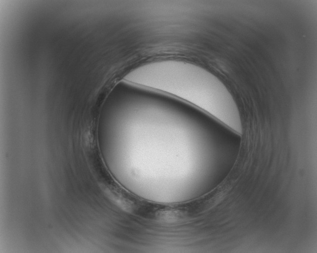 X0000068270408200604210945