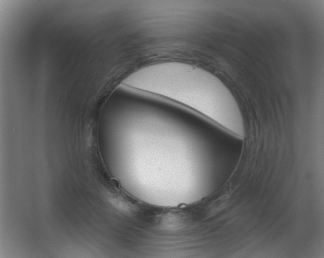 X0000068270412200604210945