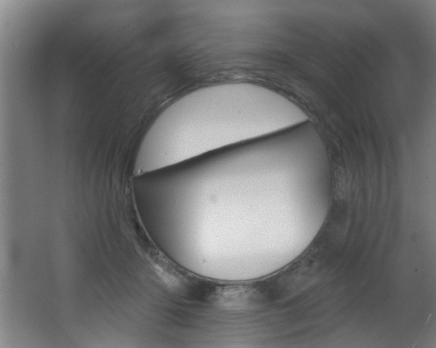 X0000068270414200604210945