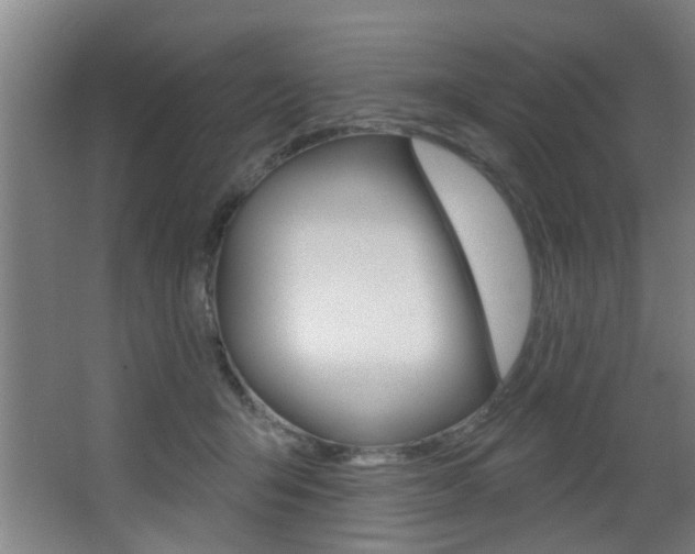 X0000068270415200604210945