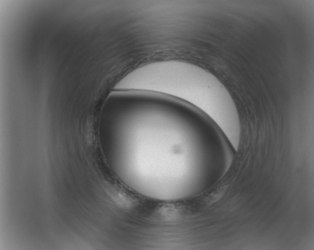 X0000068270416200604210945