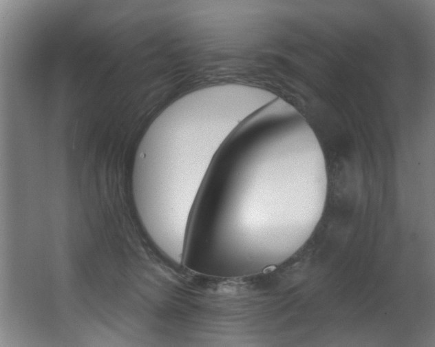 X0000068270420200604210945