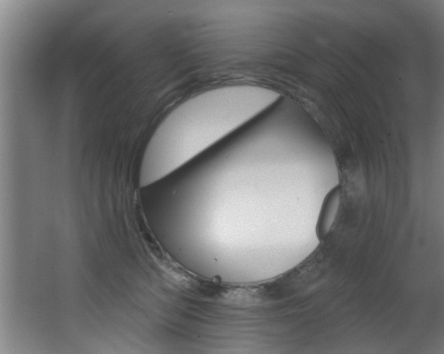 X0000068270422200604210945