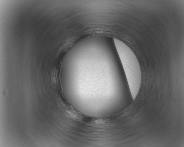 X0000068270423200604210945