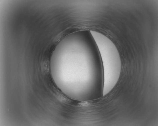 X0000068270425200604210945