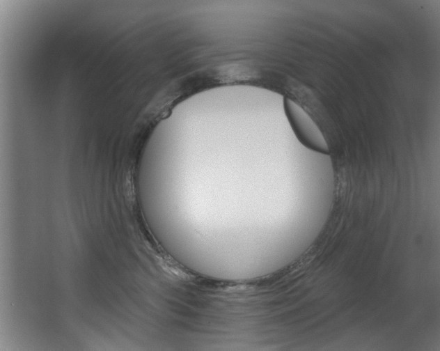 X0000068270426200604210945