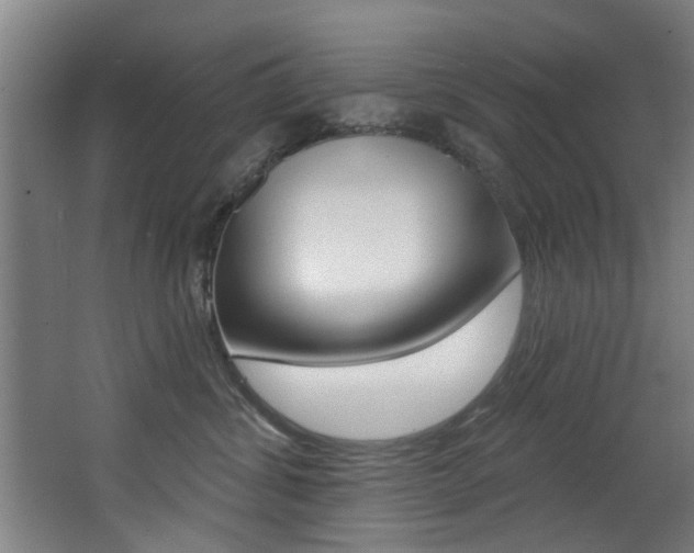 X0000068270428200604210945