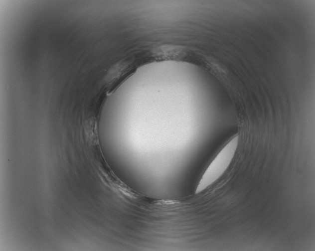 X0000068270429200604210945