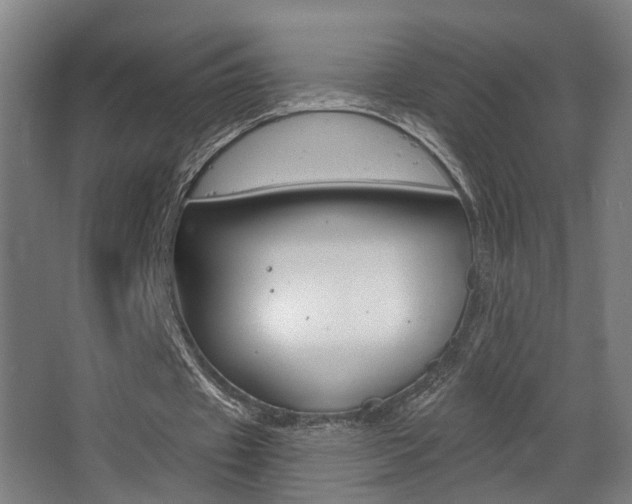 X0000068270433200604210944