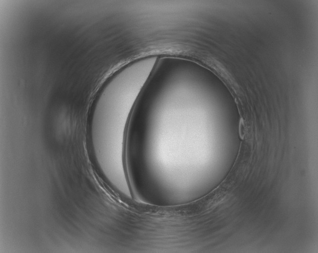 X0000068270434200604210944