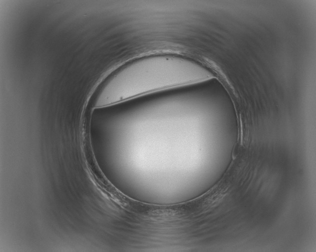 X0000068270435200604210944