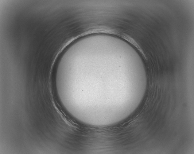 X0000068270436200604210944