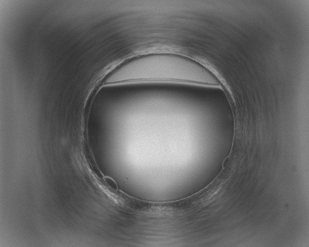 X0000068270437200604210944