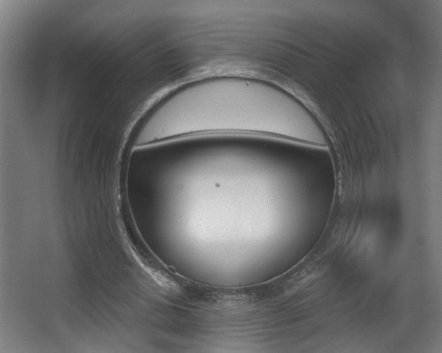 X0000068270438200604210944