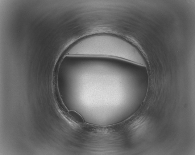 X0000068270439200604210944