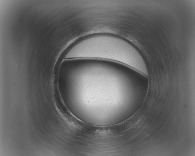 X0000068270440200604210944