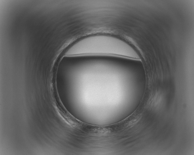 X0000068270443200604210944