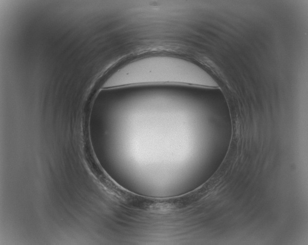 X0000068270444200604210944