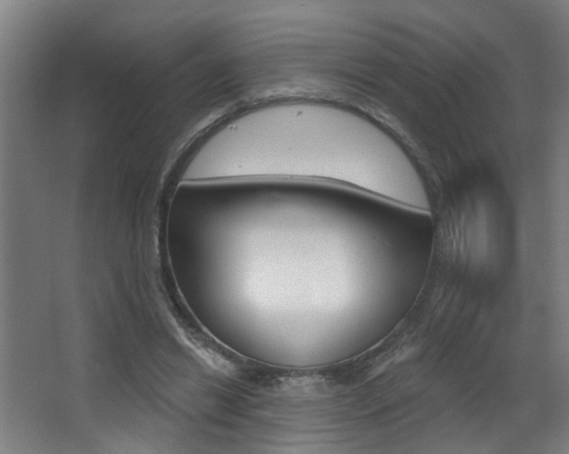 X0000068270446200604210944