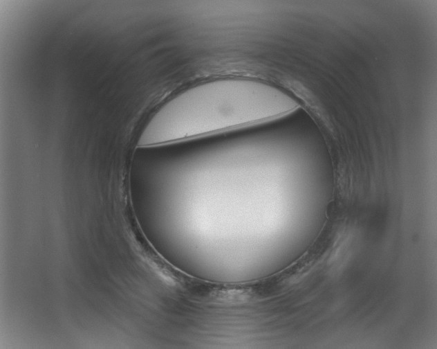 X0000068270449200604210944