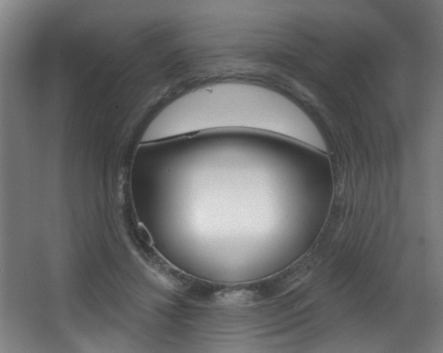 X0000068270452200604210944