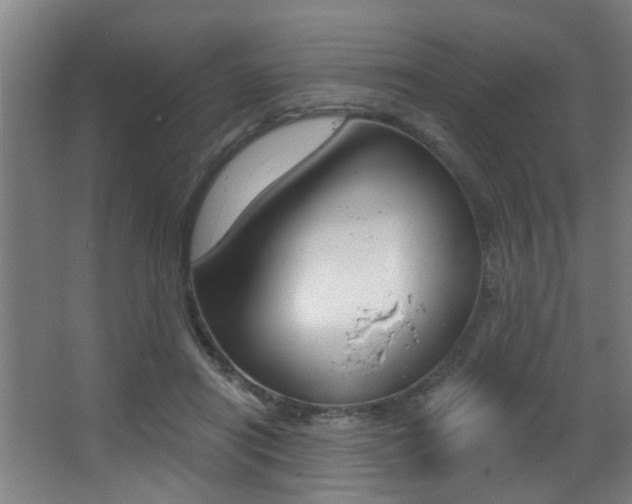 X0000068270454200604210944