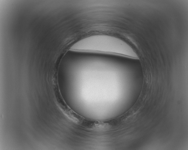 X0000068270455200604210944