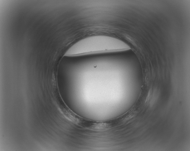 X0000068270459200604210945