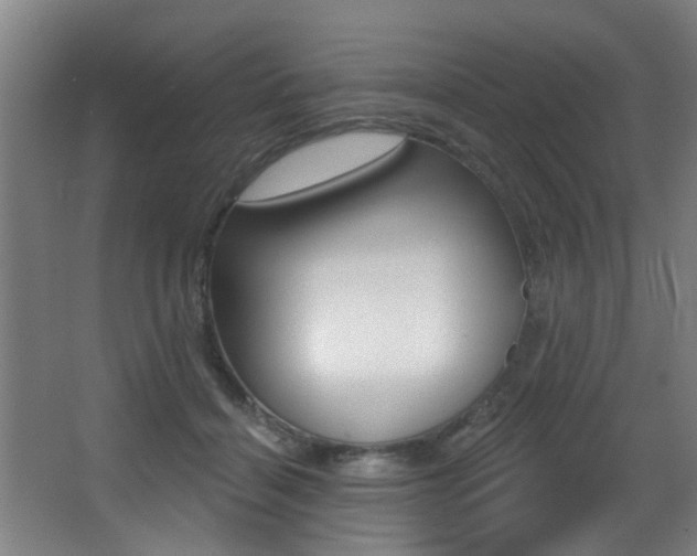 X0000068270460200604210945