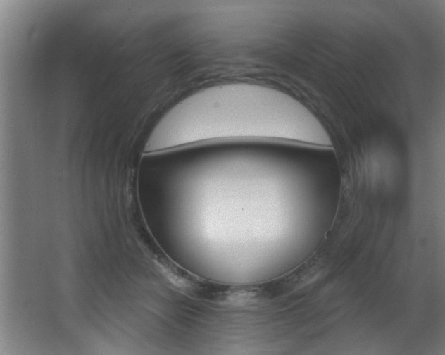 X0000068270462200604210945