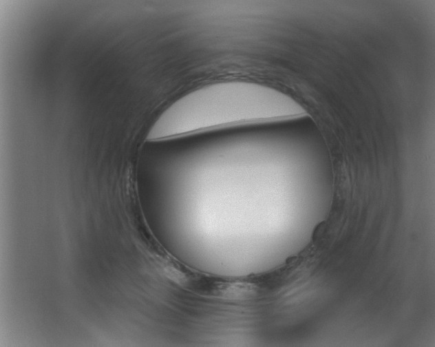 X0000068270463200604210945