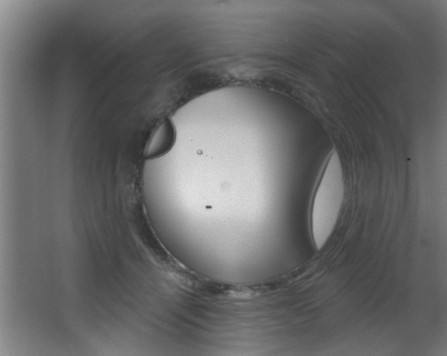 X0000068270464200604210945