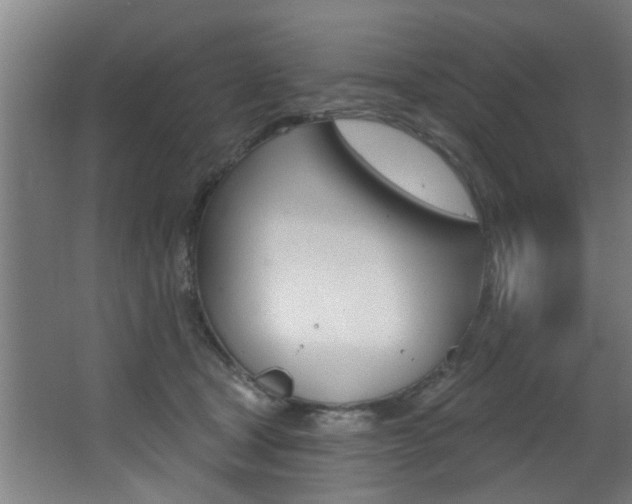 X0000068270465200604210945