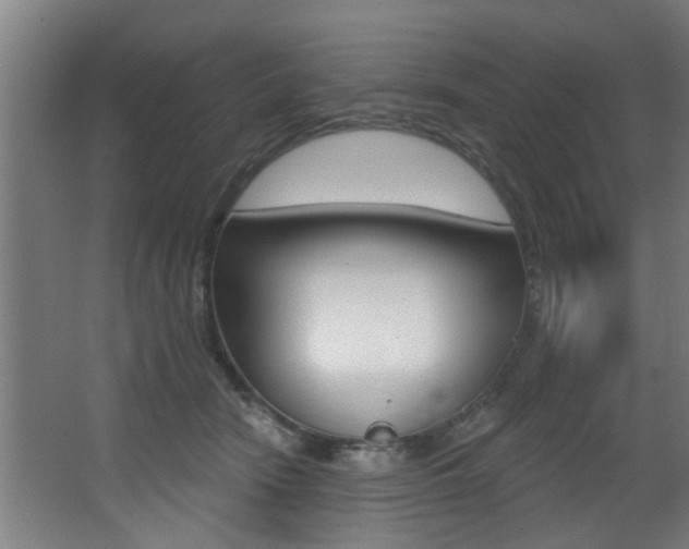 X0000068270466200604210945