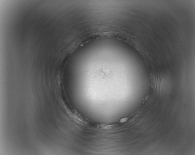 X0000068270472200604210945