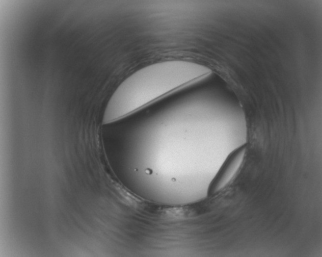 X0000068270473200604210945