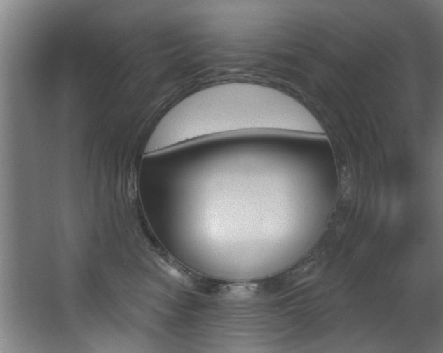 X0000068270474200604210945